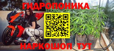 гидра Заводоуковск