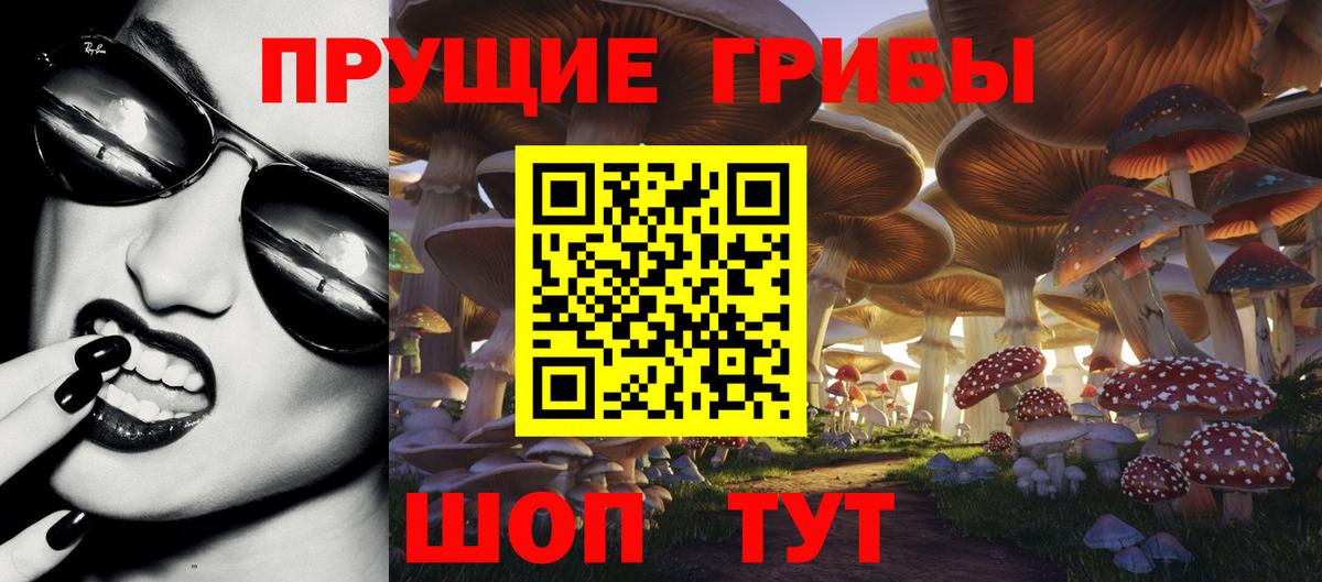 Галлюциногенные грибы Psilocybine cubensis  Вход с VPN  Псилоцибиновые грибы мицелий  Лысьва 